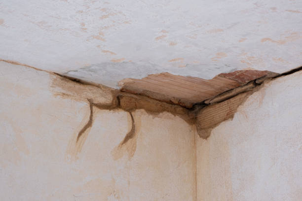 Best Water damage mitigation services  in Royal Pines, NC