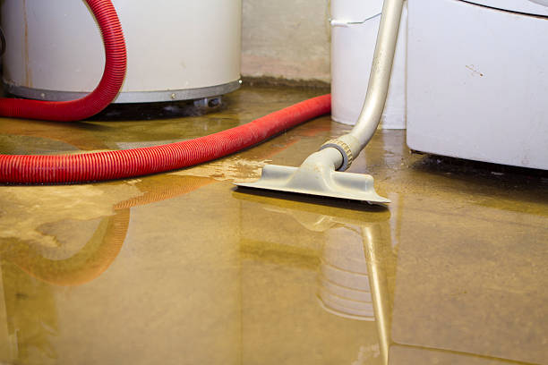 Best Fire Damage Restoration  in Royal Pines, NC