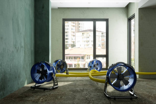 Best Water damage restoration cost  in Royal Pines, NC