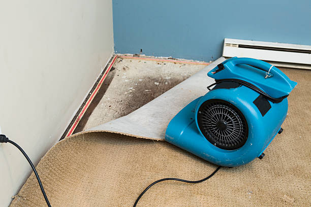 Best Sewage cleanup and water damage restoration  in Royal Pines, NC